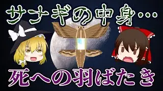 【ゆっくり解説】サナギの中身はドロドロ？「死への羽ばたき」とは