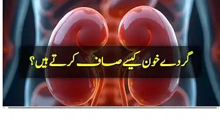 How Kidneys Filter Blood | Gurde Khoon Kaise Saaf Karte Hain?