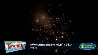 P7370 Мультипаспорт