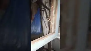 кароче мы будим выстонавливать это говно и хосанить зимой.
