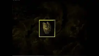 Dauthiwarlord creepy baboon lms concept