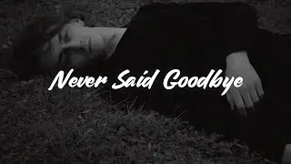 Jake Bugg - Never Said Goodbye (Lyrics)
