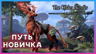 The Elder Scrolls online - Новичек в TESO I Вварденфел #3