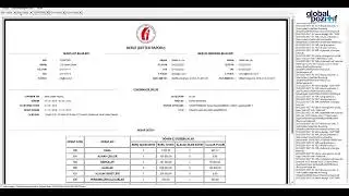 Global Pozitif E-Defter Görüntüleyici
