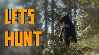 The Hunter | LIVE