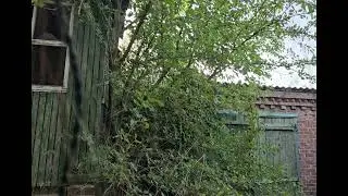вид з підвалу! (бліндажу)