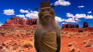 Стоять брадок 🤠