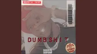 DUMB SHIT