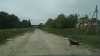 Село Зарыклей, Старокулаткинский район Ульяновской области.