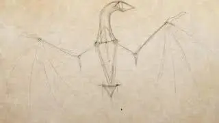 How to Draw a Dragon Part 1 of 5   Basic Construction || Sycra -TS Archives