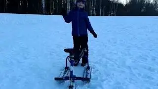 Зимняя прогулка