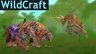 Прокачиваем ТИГРА в WildCraft!