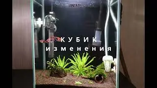Мой кубик AQUAEL 19 изменения.