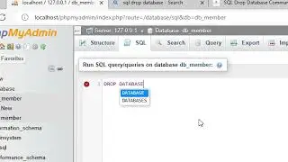 How to drop database with command in Mysql