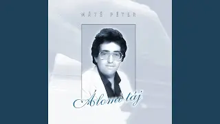 Tanácsadás