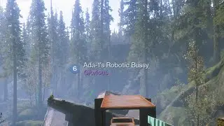 Destiny 2 names are odd