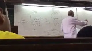Management - Simulation Problem