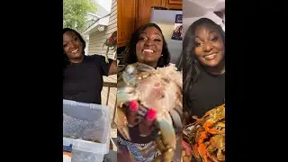 Crab Day| Blue Crabs Get Cleaned & Cooked