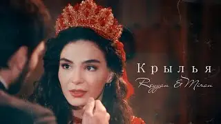 R & M I Крылья