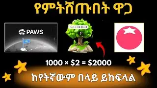 ሁሉም ነገር ተጠናቋል// ሊስት ይደረጋል //ዋጋውም ታውቁአል ማስተካከል ያለባችሁ አንድ ነገር ብቻ ነው|Tomarket|Seed|Paws Airdrop