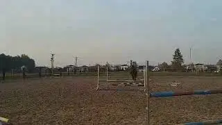 video 1571905190