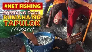 NET FISHING SA SOBRANG DAMI BUMAHA NG TAPULOK(TAWILIS) | SIR RENZ |