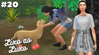 TIVEMOS QUE IR AO VETERINÁRIO | DO LIXO AO LUXO HARDCORE #20
