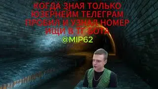 бот для пробива информации бесплатно как пробить человека в 2026 ЭТОТ БОТ ДЛЯ ПРОБИВА @MIP62