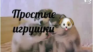 💟💟💟Простые игрушки для собак и кошек за 5 минут💟💟💟