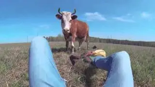 Парень выпрыгнул из самолёта ради любимой!