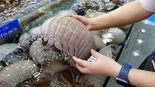 못생겼지만 맛있게 먹고 나오는 갑각류 모음-A collection of ugly but delicious crustaceans