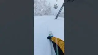 Liftline Pow Lap