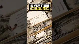 Экспедиция СС в Тибет, Аннербе и Генрих Гиммлер 