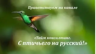 Тайм консалтинг. С птичьего на русский!