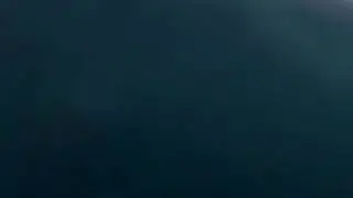 лол
