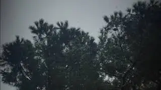 Hazar Aytan - Manzara (Akustik Kış Versiyon)