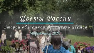 Черняховск. Второй фестиваль цветов (2024)
