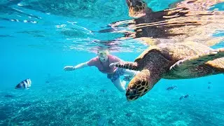 Isak Knutsen in The Seychelles (2024)
