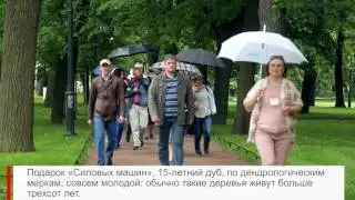 Сотрудники 