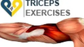 Triceps Exercises : dips 2 benches
