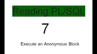 Execute an Anonymous Block 7