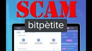 PROOF That BitPetite Ran Away With Your MONEY