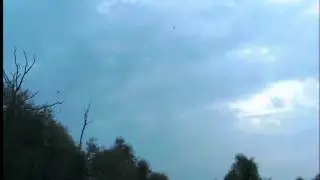 Ласточки перед дождем