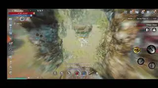 Mir4:Boss Hunting in secret peak 1F | Part 1