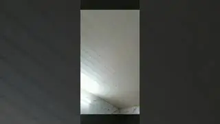 hhh