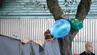 Сказки на ночь. Винни Пух, Пятачок и пчелы