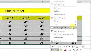 Custom Formatting tricks to Hide Numbers in excel 2016 