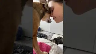 Одна тревожная история, которая закончилась хорошо 