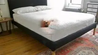 DIY bed frame ideas