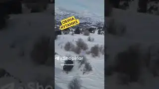 Амирсойда свет учди